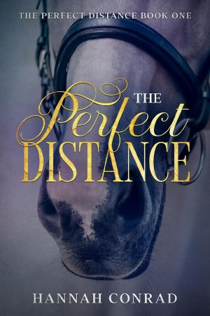 [The Perfect Distance 01] • The Perfect Distance